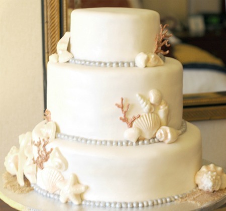 sea, shells and cake