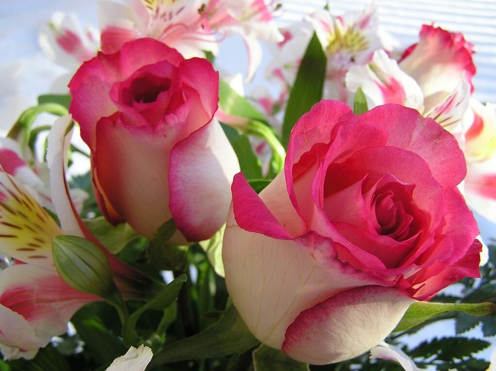 white, lilies, red and roses
