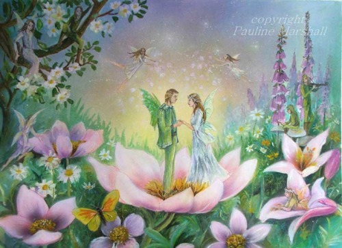 fairy, fantasy and flowers
