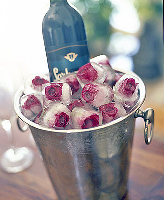 diy and ice cube roses