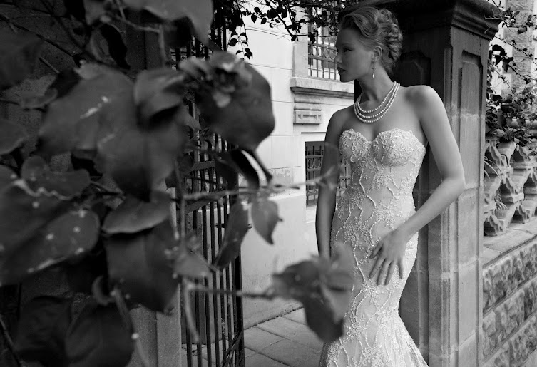 bridal, lace, fashion and fancy