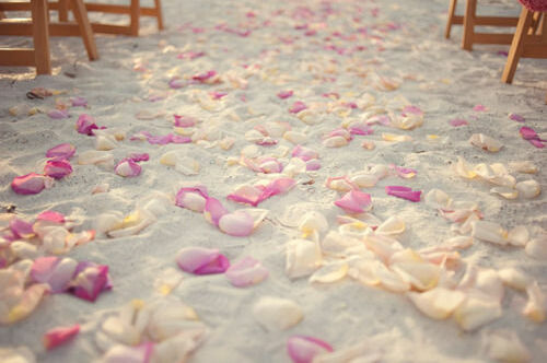 beautiful, purple and sand