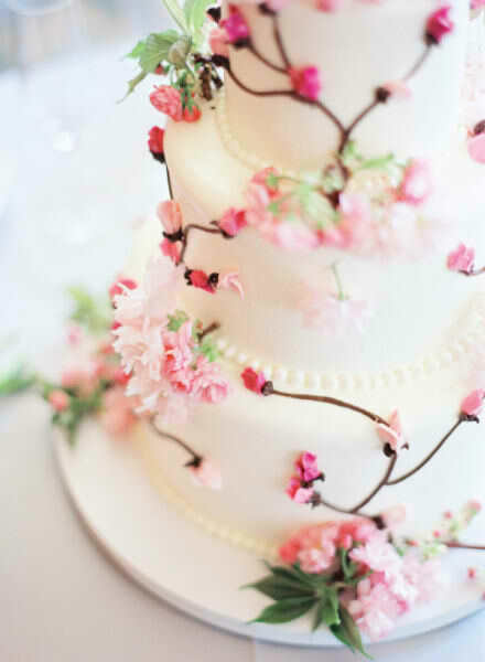 cake, loely and sweet