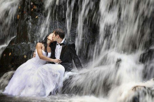 bride, groom and bride and groom