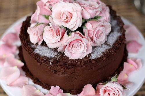 fashion, plant and anniversary