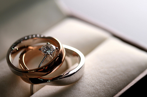 cash, design and love