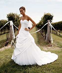 luxury, fashion and white
