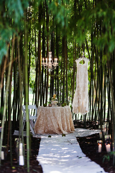white dress, magic and forest