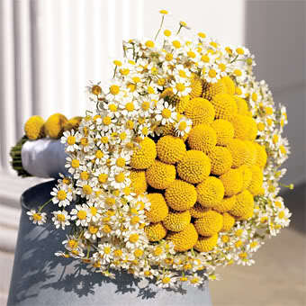 yellow, bouquet and mustard