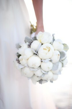 peony, white and bouquet