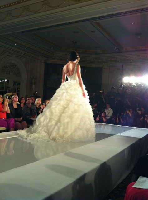 e.g.: photography, ), model and dress
