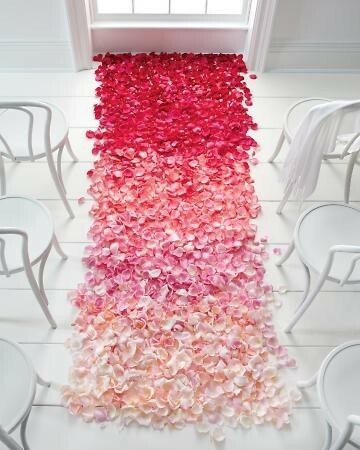 romantic, rose and petals