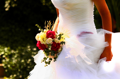 flowers, amazing and nice