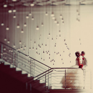 love, stairs and rose