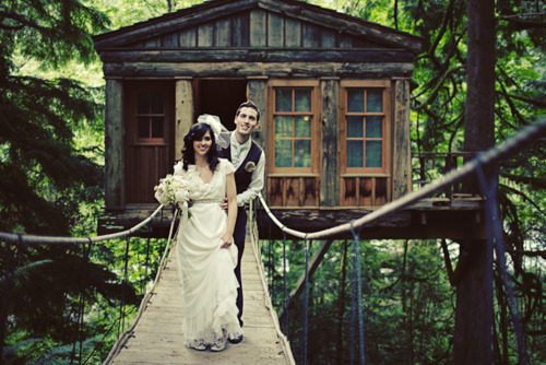 bridge, treehouse and forest