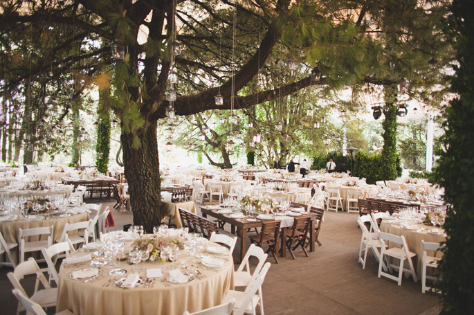 forest and seating
