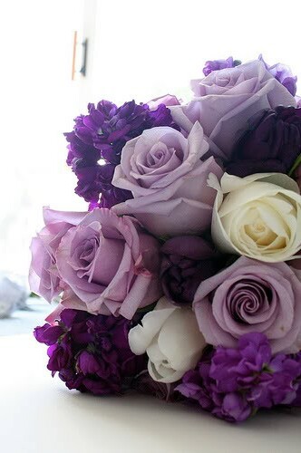 roses, violet and flowers