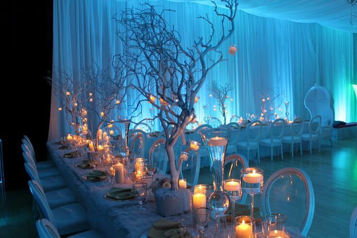 wedding reception and wedding theme