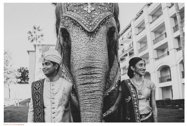 beautiful, love, groom and elaborate