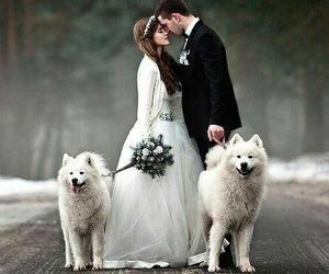 white dog, couples and bride and groom