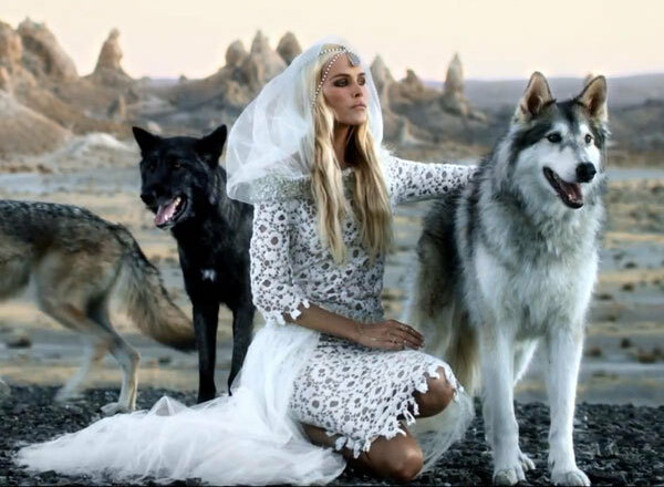 wolves, desert and girl