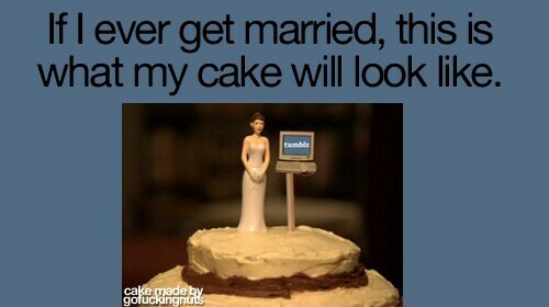 cake, pc and cats