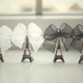 themeweddingfavors, parisfavors and bride