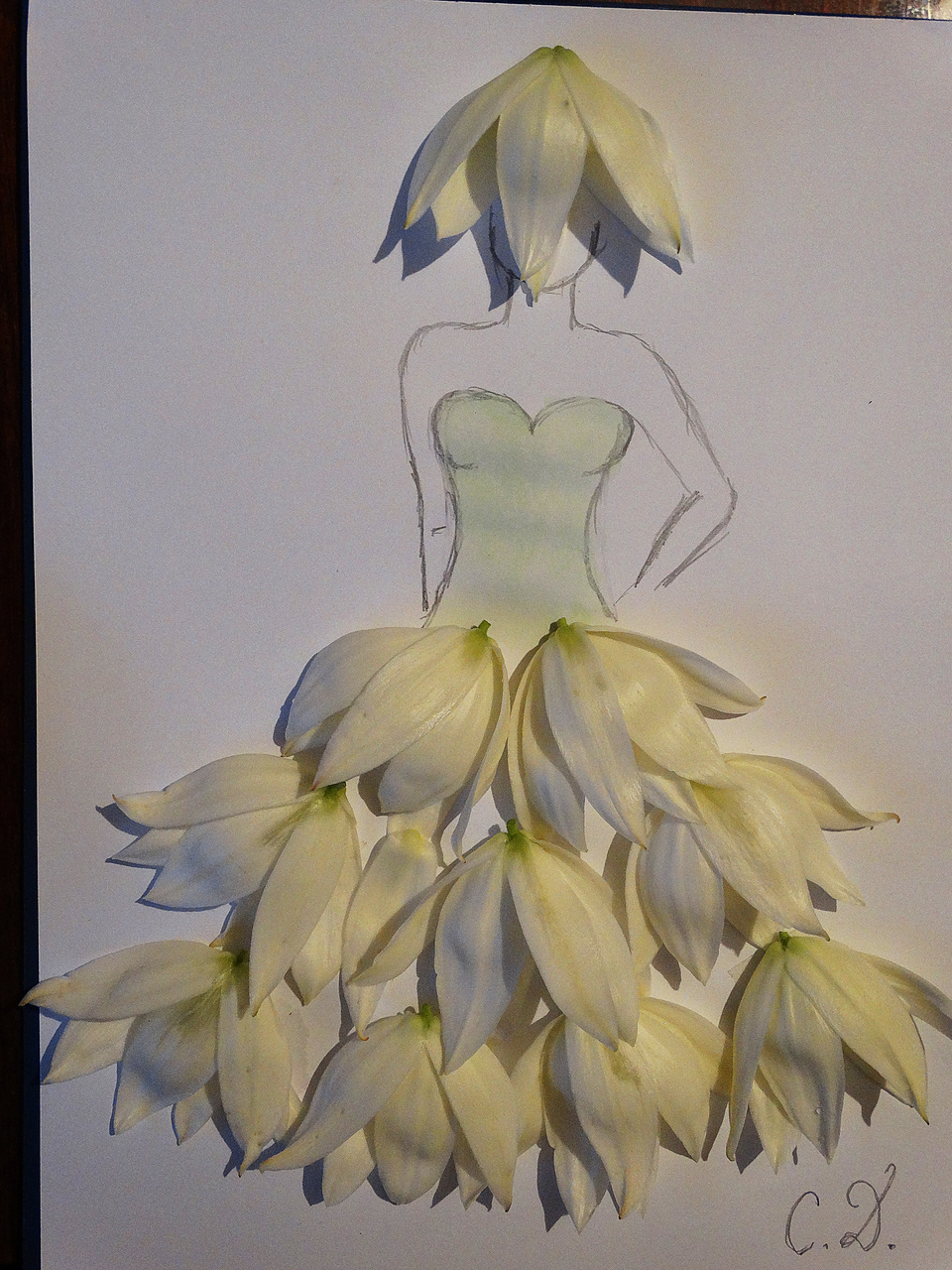 sketch, dress, drawing and flowers