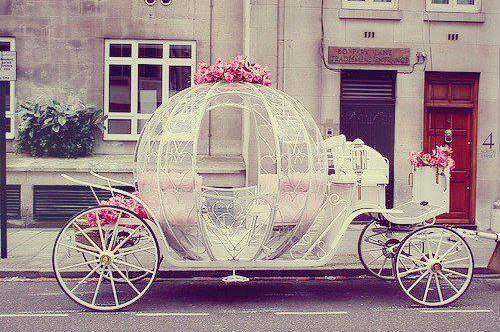 horse, Wheels and cute