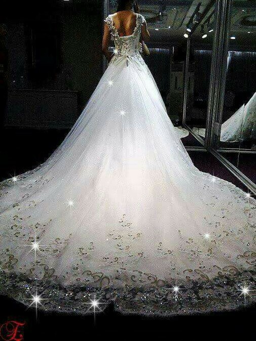 long train, sparkly gown and wedding dress