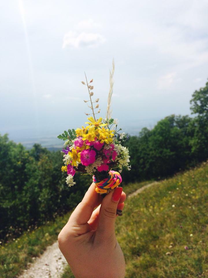summer, nature, love and Wild Flowers