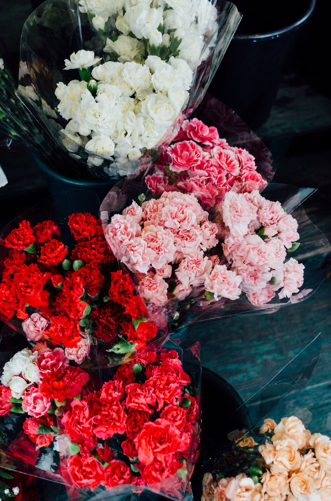 pink, flowers, pretty and spring