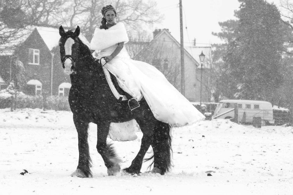 dress, perfect, horse and black