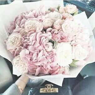 white, flowers and pink