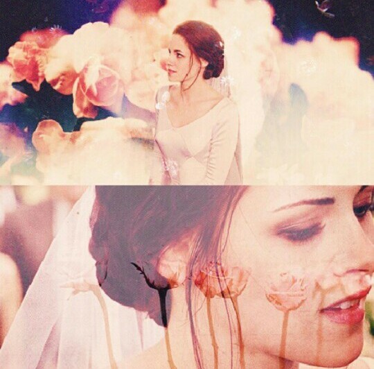 twilight saga, beautiful, beauty and kristen stewart