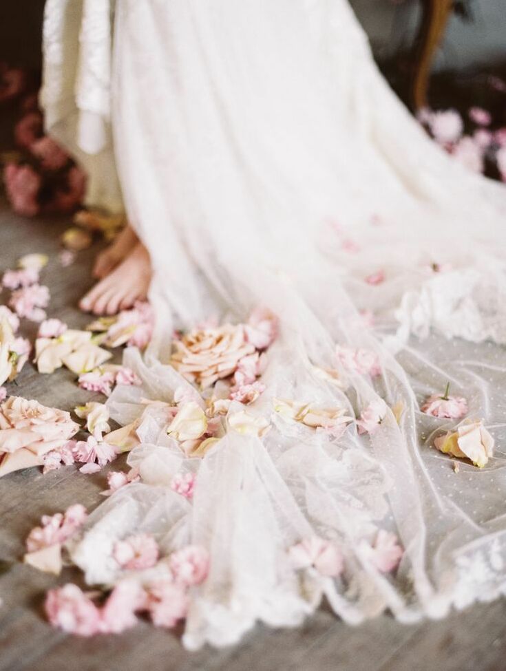 voile, pétales, veil and roses
