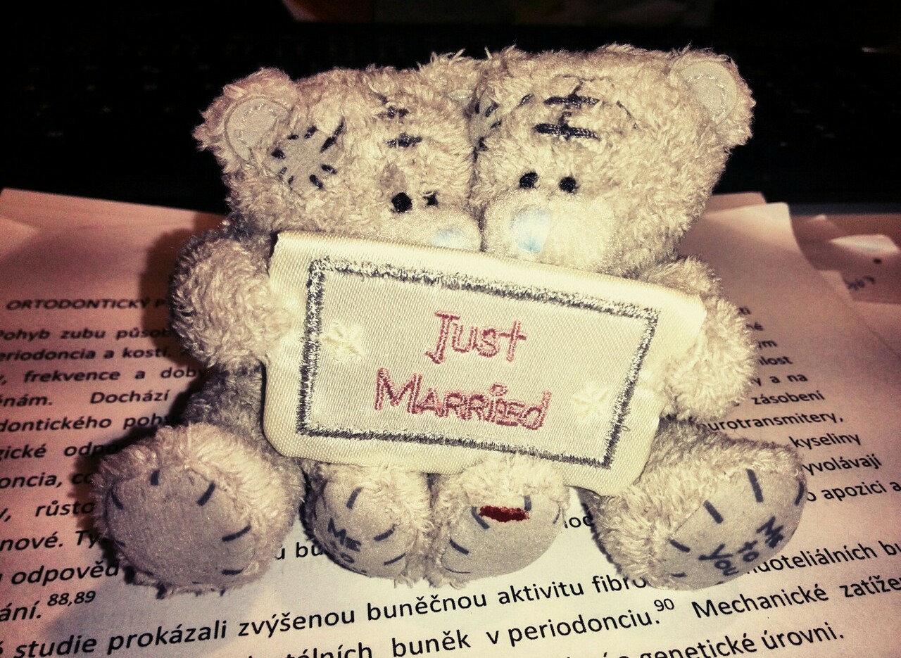 just married, metoyou, cute and teddy bears