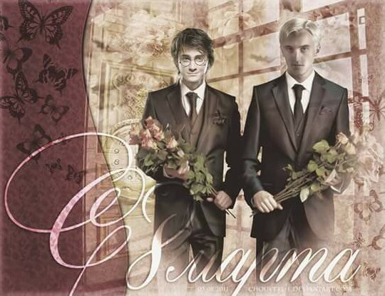 draco malfoy, harry potter and drarry