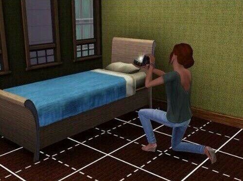sims 3, bed and ring