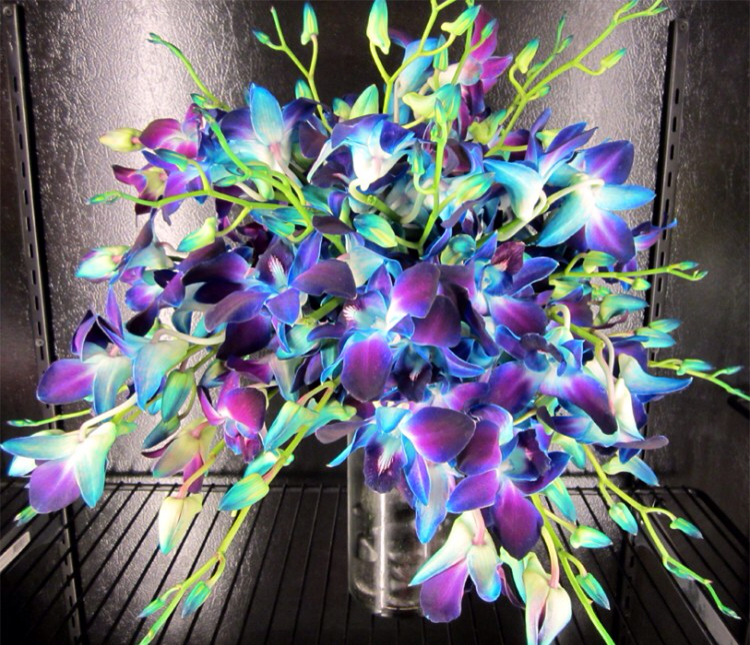 green, cool, bouquet and purplw