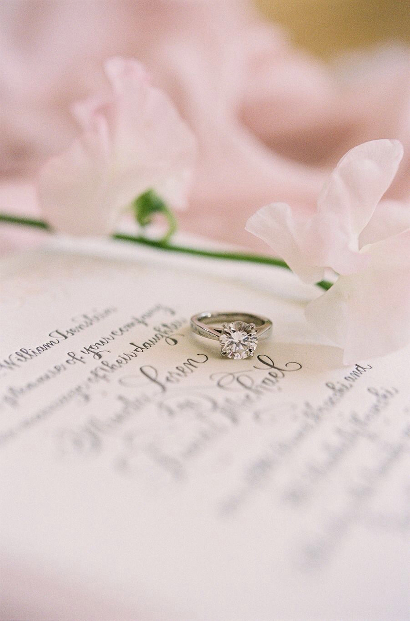 elegant, pastel, delicate and photography