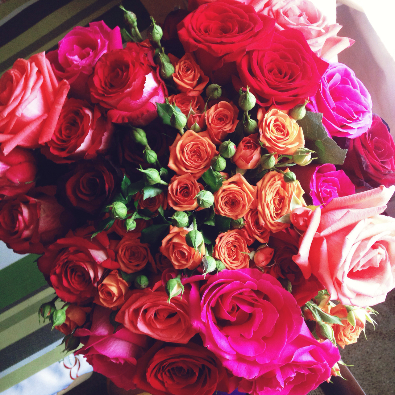 chic, pink, red and passion