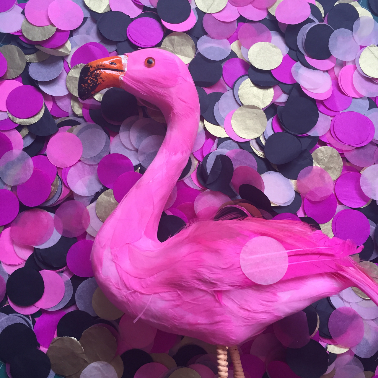 party, gold, summer and flamingo