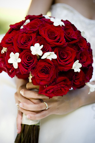 pretty, roses and marry me