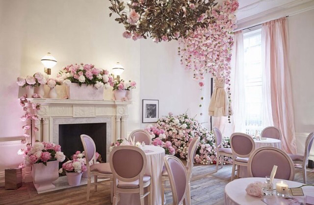 room, petals and pale pink