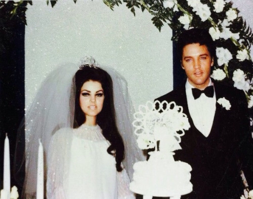 classic, fashion and bride