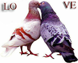 power, in love and awesome