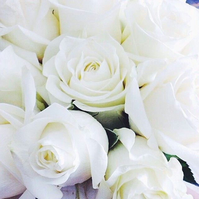 bouquets, purity, dreamy and roses