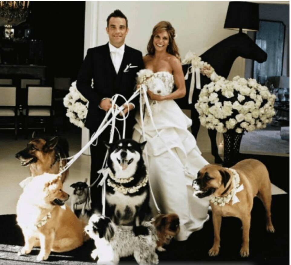cute, adorable, the best day and doggies
