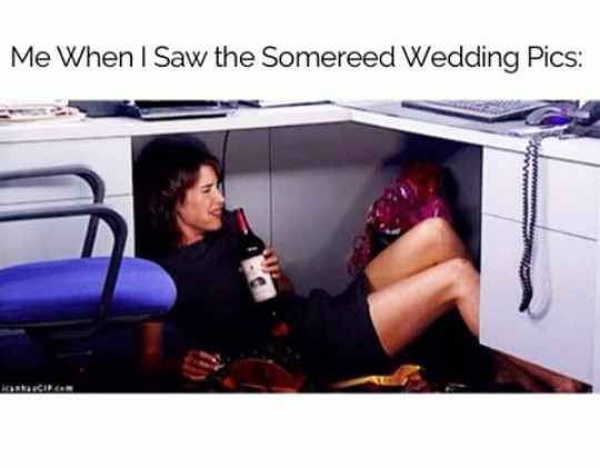 robin, somereed wedding and nikki reed